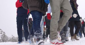EXCURSIÓN A LA NIEVE